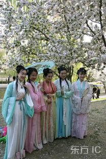 汉服成人踏青视频大全图片,穿越时空的春日诗篇