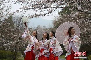 汉服成人踏青视频大全图片,穿越时空的春日诗篇