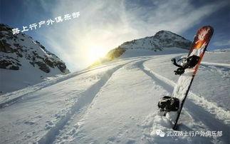 滑雪车成人专用自制视频,畅享冬日激情滑雪之旅