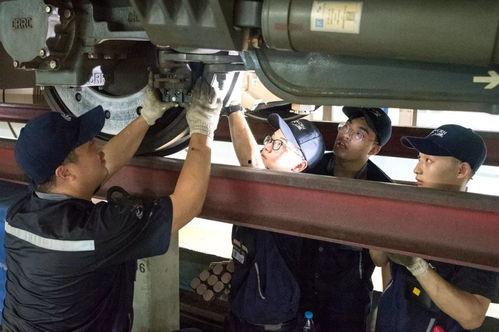 成人变态另类视频,探索禁忌边缘的视觉盛宴