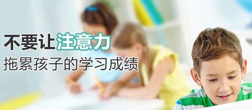 成人提升专注力训练视频,跟随专业视频训练，解锁高效学习与工作新技能