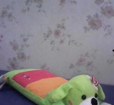 成人小枕头怎么用视频,轻松掌握成人小枕头使用技巧视频教程