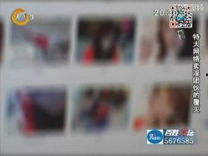 成人视频色情网亚洲,暗流涌动的网络世界