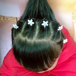 成人考试编发教程视频,高效学习攻略