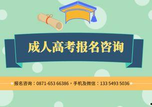 成人培训报名视频大全,解锁学习新篇章