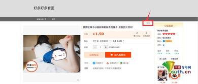 成人开智视频教程,开启智慧之门，解锁人生新境界