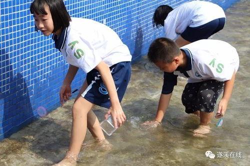捉泥鳅成人学生版视频,童年回忆与成长感悟的交织