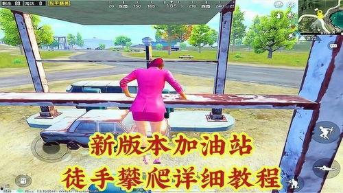 成人攀爬教程图解视频,成人攀爬技巧图解解析