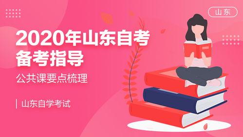 成人自考政治视频课程,自考政治课程要点精讲与实战策略解析