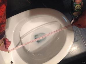 成人马桶儿童使用视频,儿童视角下的成人马桶使用体验揭秘
