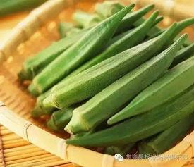 茄孑视频下载秋葵成人版,秋葵成人版下载攻略