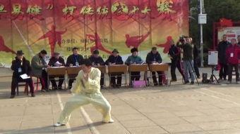 成人武术表演剑术视频,成人武术表演剑术风采赏析
