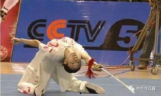 成人武术表演剑术视频,成人武术表演剑术风采赏析