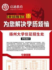 成人学历宣传素材视频,视频素材中的精彩瞬间