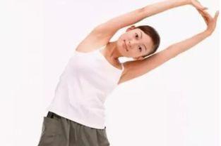 成人锻炼肚子的方法视频,跟随专业视频学习成人锻炼肚子技巧