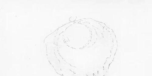 成人初学绘画视频教程,成人绘画入门教程视频概览